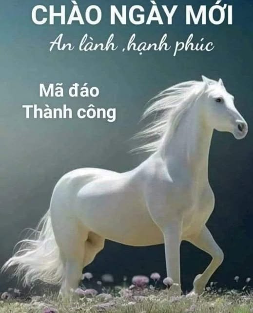 Продаётся дом, 182 м², Phường 2
