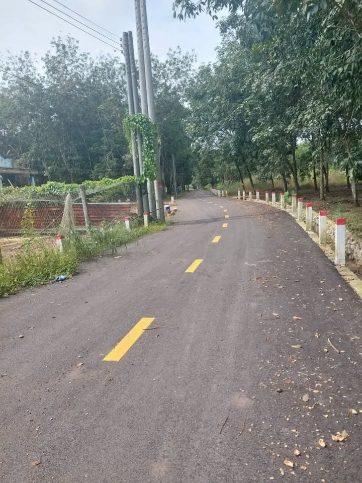 Bán đất 100m2 mặt tiền đường nhựa, gần trường học An Linh, Bình Dương