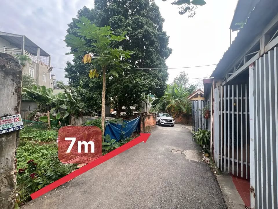 Mê mẩn lô đất Mậu Lâm, Vĩnh Phúc 105m2, ô tô tận cửa, giá siêu yêu