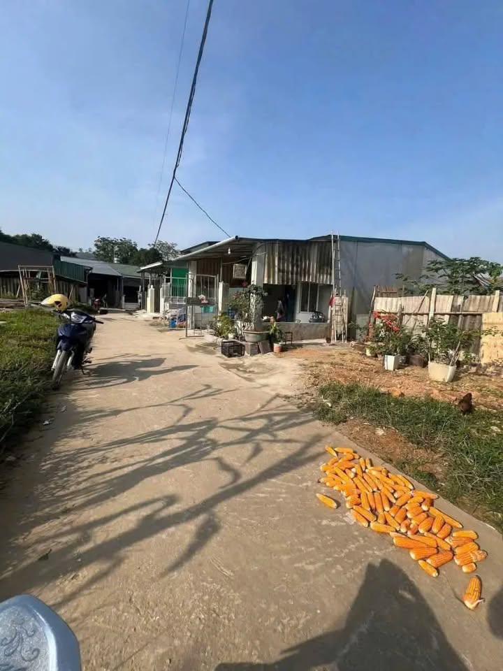 Chào mừng quý khách đến với mảnh đất Tổ 1, phường Duyên Hải