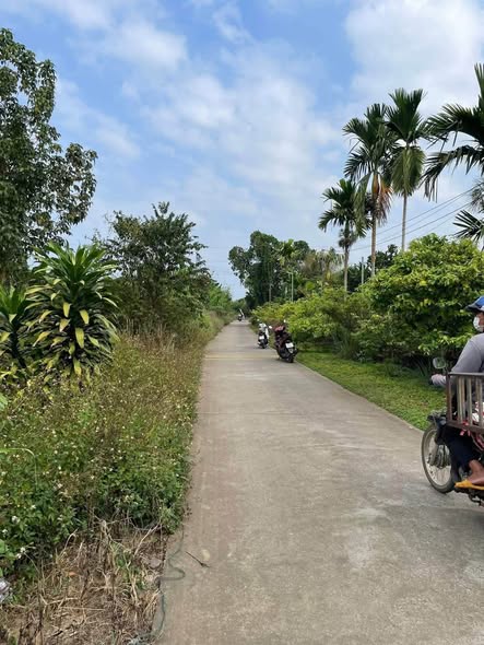 Bán đất nền, 312 m², Tân Tiến