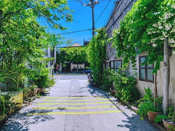 Bán đất nền, 55,9 m², Liên Chiểu