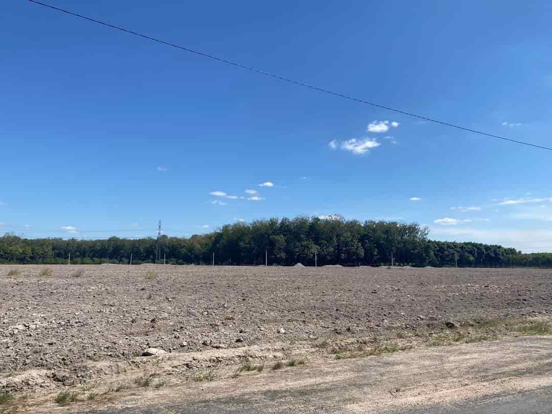 
Các loại đất phủ hồng đang trong diện quy hoạch; do đó có nhiều trường hợp đất phủ hồng là đất cây lâu năm, hoặc đất trồng cây hàng năm, đất trồng lúa hoặc đất thuộc danh mục đất dự trữ phát triển công nghiệp sau này (quy hoạch treo). Ảnh minh họa
