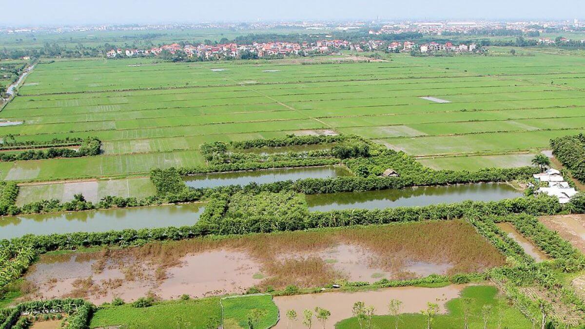 
Những người sử dụng đất nhận quyết định về việc cho phép được chuyển mục đích sử dụng đất đai ở phòng Tài nguyên và Môi trường nơi bạn đã tiến hành nộp hồ sơ xin chuyển đổi mục đích sử dụng đất. Ảnh minh họa
