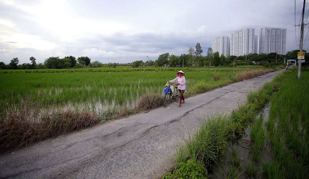 
Thời gian sắp tới, khi tỉnh Bắc Giang “mạnh tay” trong việc thu hồi đất sẽ làm hạn chế được tình trạng lãng phí đất, bỏ hoang... gây ảnh hưởng đến cả các hoạt động kinh tế xã hội
