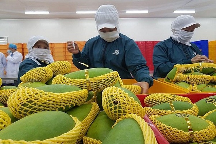 
Có nhiều công ty đã có đơn hàng đến nửa năm 2024. Tín hiệu này cho thấy được sự hồi phục của hoạt động sản xuất, kỳ vọng về một năm “bội thu”. (Nguồn ảnh: Nhịp sống thị trường)
