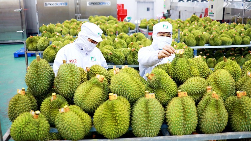 
Kim ngạch xuất khẩu cao nhất tính từ tháng 9/2022. (Nguồn ảnh: Báo Hòa Bình)
