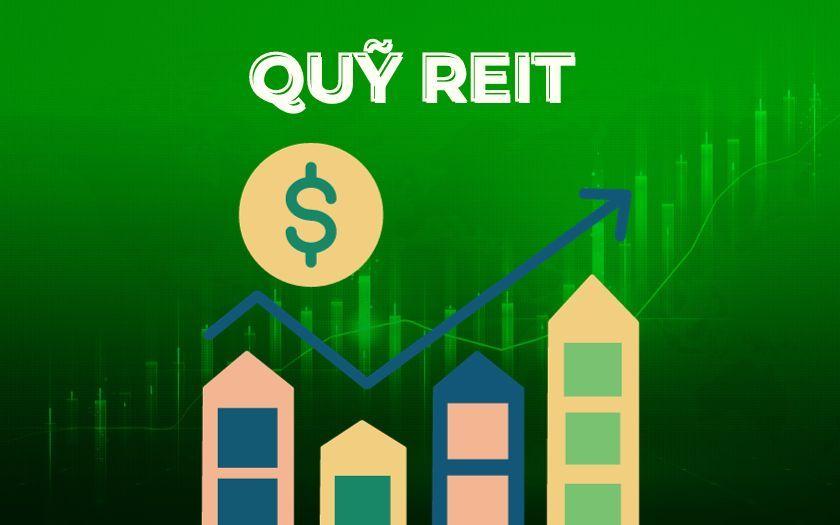REIT giúp bạn đầu tư mà không cần suy nghĩ quá nhiều về chuyện quản lý tài sản