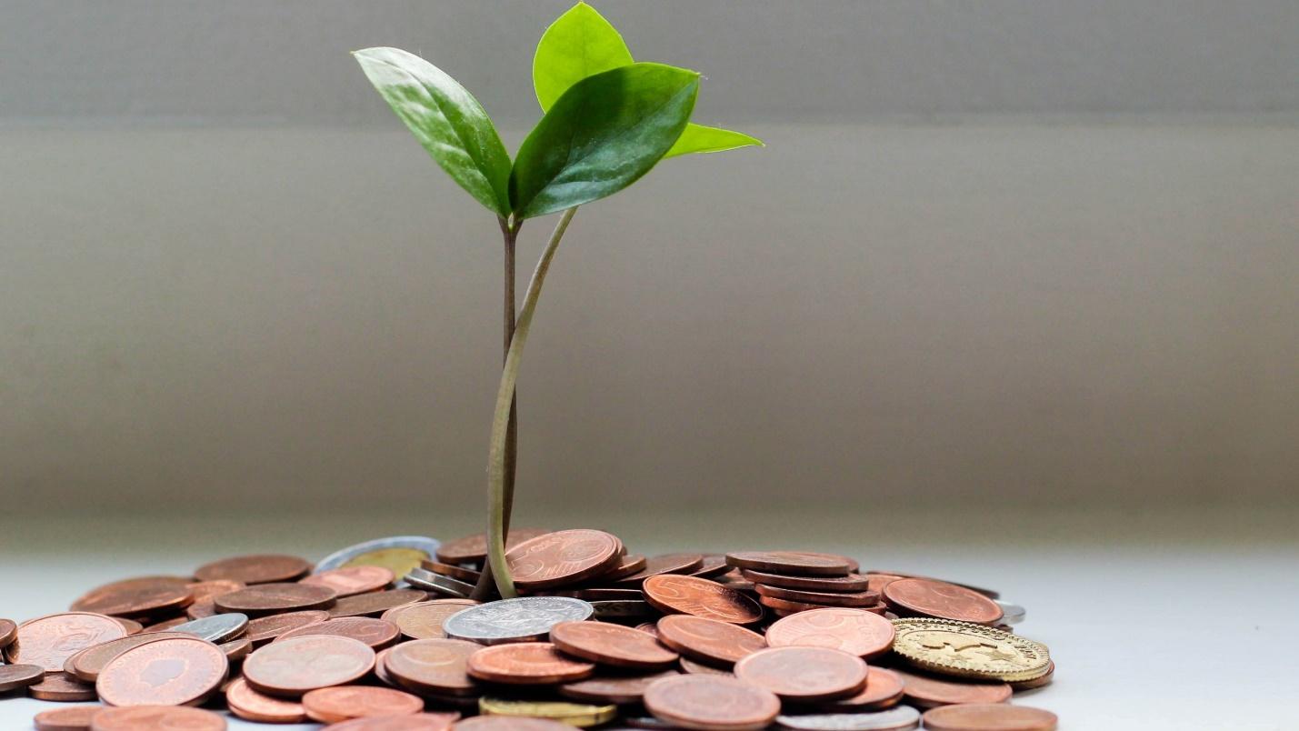 Hiện tại chị đang làm admin cho một công ty trong hơn 10 năm cho nên mức lương sẽ tăng theo thâm niên. Chị không bị áp lực về doanh số hay là thăng tiến. Chị là người sống khá yên phận và hài lòng với những gì mà bản thân có. (Ảnh minh họa)