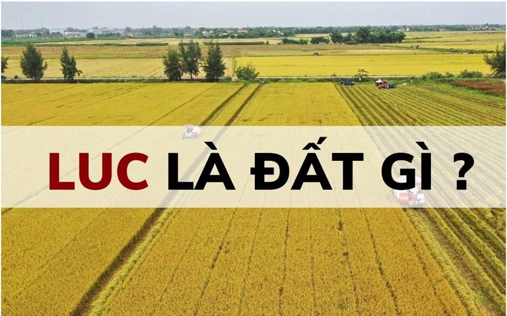 Khái niệm đất LUC là gì được hiểu là đất chuyên dùng để trồng lúa nước