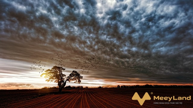 Một số quan điểm về tranh chấp đất đai