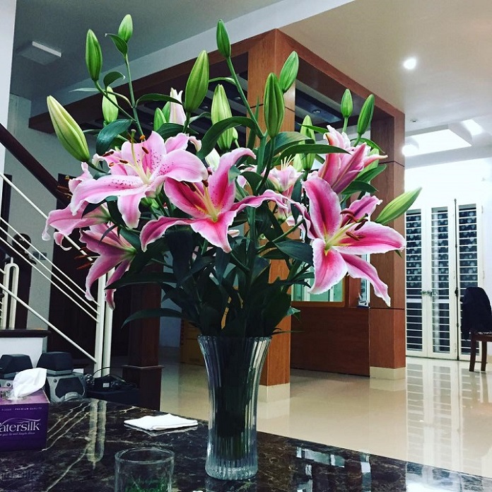 Hoa ly với mùi thơm đặc trưng