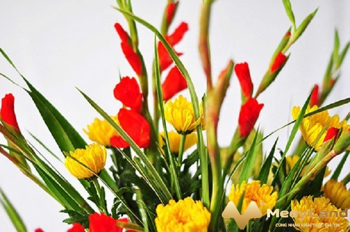 
Ảnh 4: Có thể kết hợp với một số loại hoa khác để cắm chung với hoa cúc vàng tạo nên vẻ đẹp riêng (Nguồn: Meeyland.com)

