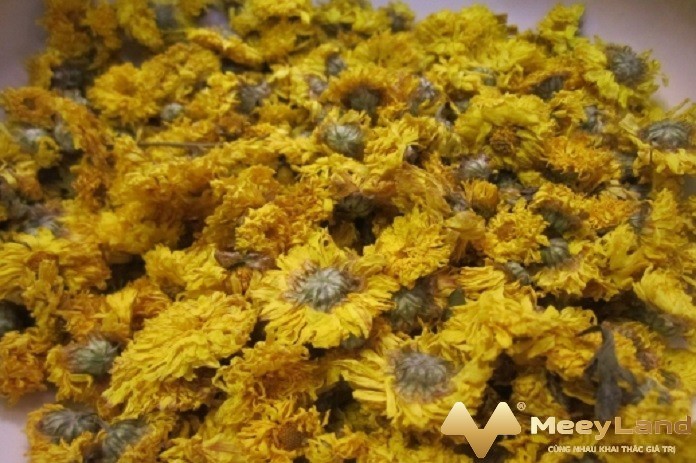 
Ảnh 6: Không cắm hoa cúc bị héo lên bàn thờ (Nguồn: Meeyland.com)
