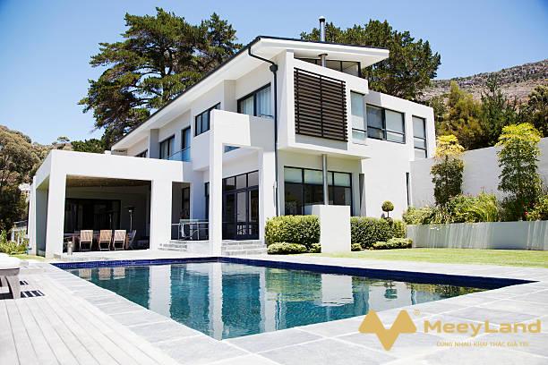 phân tích thị trường bất động sản