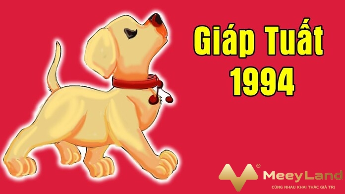 Ảnh 1: Dựa theo Can Chi người ta xác định được người sinh năm 1994 gọi là Giáp Tuất.(Nguồn: Internet)