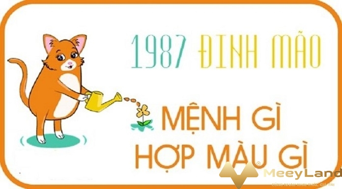 
Ảnh 1: Sinh năm 1987 mệnh gì là vấn đề phong thủy được nhiều người quan tâm (Nguồn Internet)
