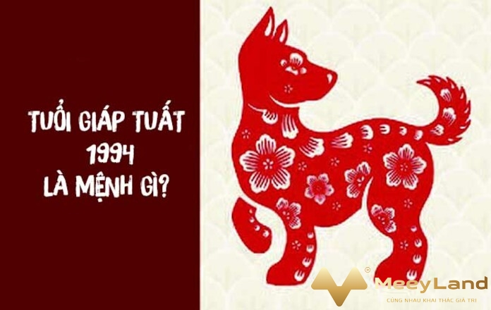 Ảnh 2: Người sinh năm 1994 mệnh gì?.(Nguồn: Internet)