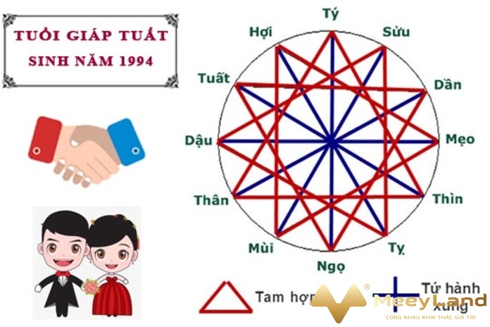 Ảnh 4: Xem tuổi hợp với nam tuổi Giáp Tuất.(Nguồn: Internet)