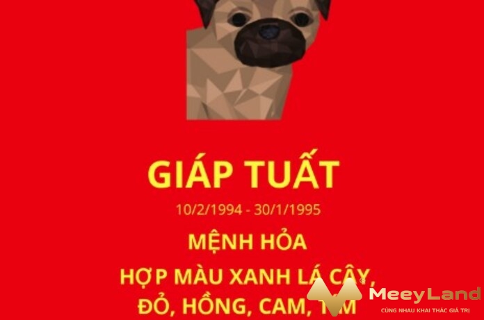 Ảnh 5: Màu đỏ, hồng, cam, xanh lá, tím là màu thích hợp cho người Giáp Tuất thuộc mệnh Hỏa.(Nguồn: Internet)