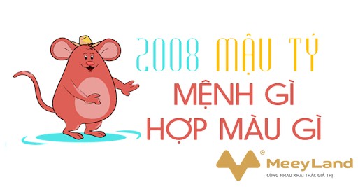 
Ảnh 1: Sinh năm 2008 hợp màu gì?.(Nguồn Internet)
