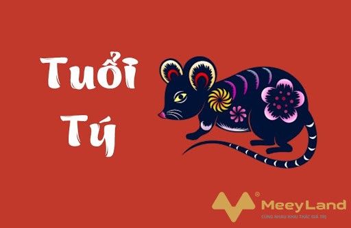 
Ảnh 3: Thông tin về người tuổi Mậu Tý 2008.(Nguồn Internet)
