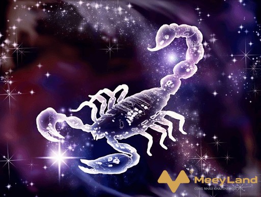 Ảnh 8: Tử vi của cung Bọ Cạp năm 2020