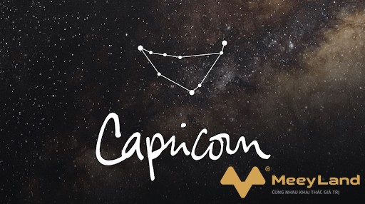 Ảnh 10: Tử vi của cung Ma Kết năm 2020