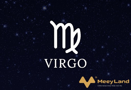 Ảnh 6: Tử vi của cung Xử Nữ năm 2020