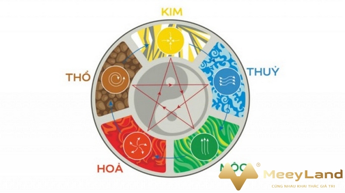 
Ảnh 3: Nam mạng tuổi Mậu Ngọ tương sinh hành Mộc.(Nguồn: Internet)
