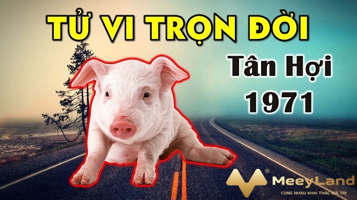 Ảnh 7: Nữ giới sinh năm 1971 thường là những người hiền lành, tình cảm (Nguồn: Internet)