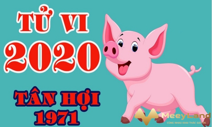 Ảnh 7: Nam giới Tân Hợi thường có tuổi thơ gặp nhiều vất vả, khó khăn (Nguồn: Internet)