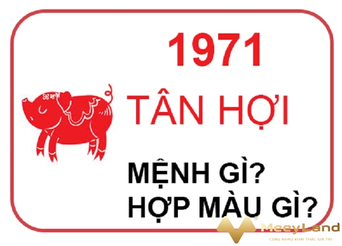 Ảnh 2: Tuổi Tân Hợi sinh năm 1971 thuộc mệnh Thoa Xuyến Kim (Nguồn: Internet)