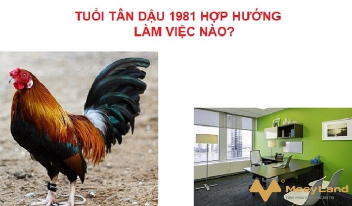 
Ảnh 6. Tuổi Tân Dậu hợp hướng làm việc nào (Nguồn: Internet)
