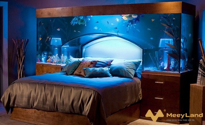  Ảnh 5: Đặt bể cá cạnh giường khiến giấc ngủ bất an (Nguồn: Internet)