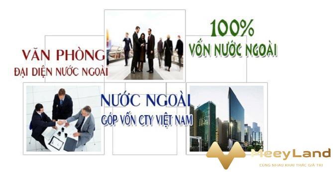  Ảnh 1: Các hình thức đầu tư được chỉ rõ theo luật đầu tư nước ngoài tại Việt Nam (Nguồn: Internet)