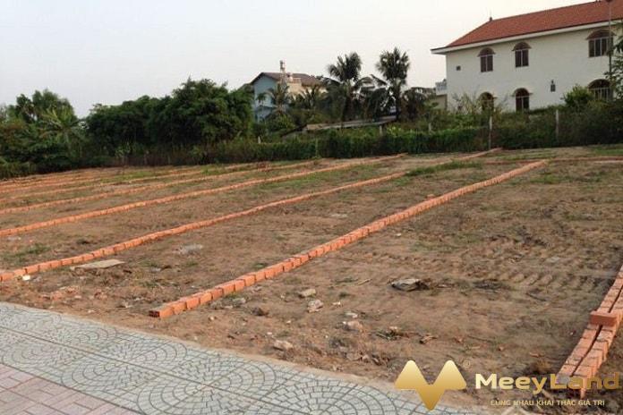 Ảnh 1: Đất đai gồm đất nông nghiệp và đất công nghiệp (Nguồn: Internet)