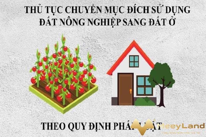  Ảnh 1: Cùng tìm hiểu quy trình chuyển đổi mục đích sử dụng đất. Nguồn: Internet 