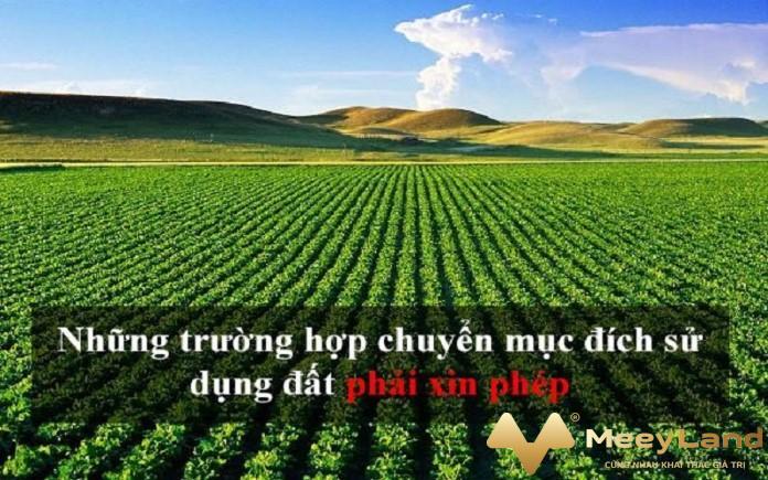  Ảnh 2: Trước khi chuyển đổi cần phải xin phép và được đồng ý. Nguồn: Internet 