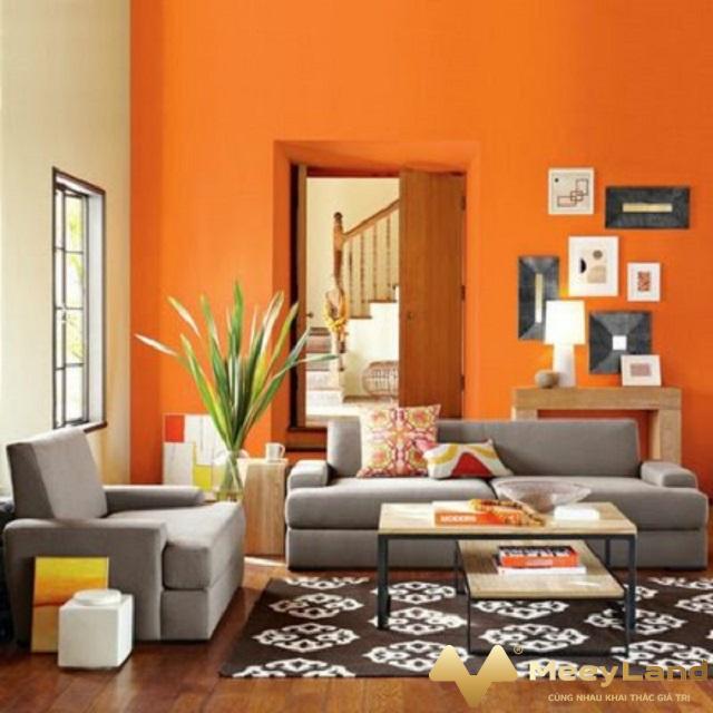  Hình 5: Sơn tường với tông màu cam ấm áp (Ảnh: Internet). 