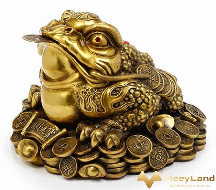 
Ảnh 1: Nguồn gốc của cóc ba chân ( Nguồn: Internet)
