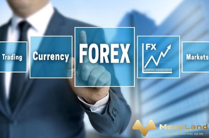  Ảnh 1: tìm hiểu cách chơi Forex cơ bản nhất (Nguồn: Internet)