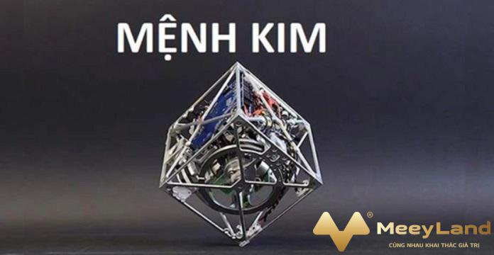 Ảnh 1: Người mệnh Kim Nguồn: Internet