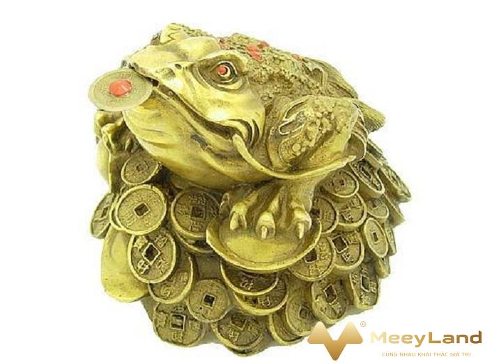 
Ảnh 2: Cách khai quang điểm nhãn cho thiềm thừ( Nguồn: Internet)
