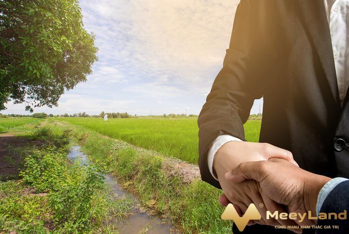 Ảnh 2: Thông thường, đất thường mất nhiều năm để bán và những lúc đó giá trị của chúng cũng được đẩy lên cao (Nguồn: Internet)