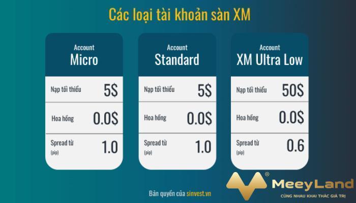 Ảnh 3: Các loại tài khoản sàn XM (Nguồn: Internet)