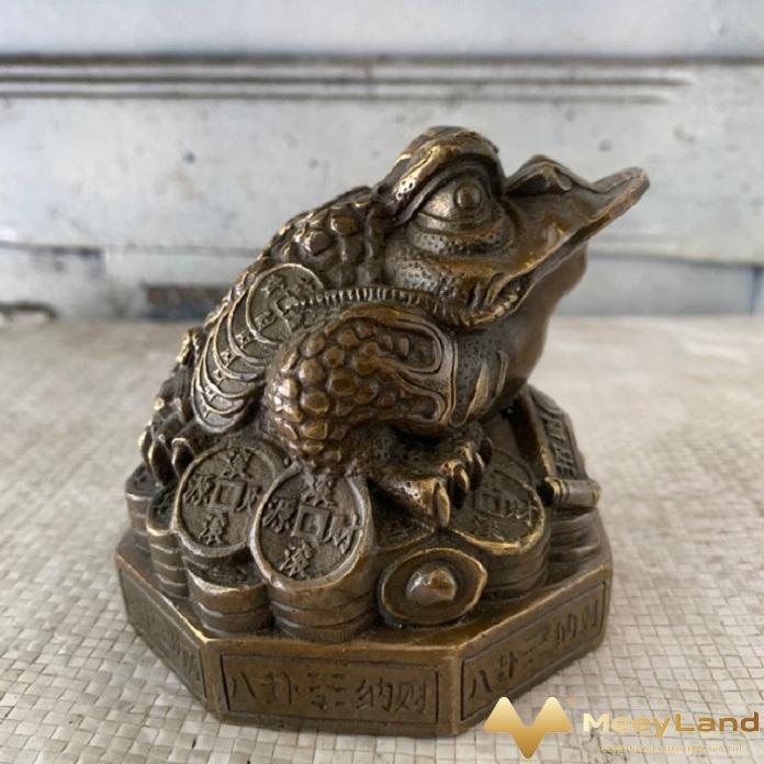 
Ảnh 3: Hướng dẫn cách đặt cóc ba chân đúng vị trí mang lại tài lộc( Nguồn: Internet)
