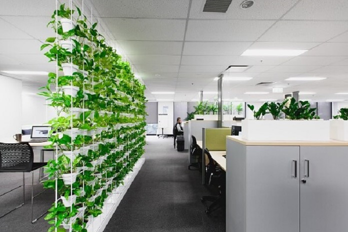 
Hình 4: Trang trí cây xanh trong văn phòng giúp thanh lọc không khí
