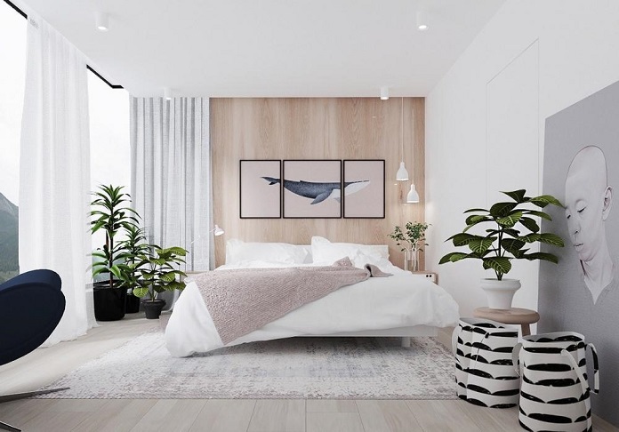 Ảnh 6. Những loại cây trang trí phù hợp với mệnh Kim