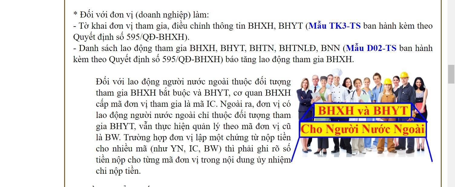  Ảnh 9: Thủ tục làm hồ sơ tham gia bảo hiểm đối với người sử dụng lao động nước ngoài (Nguồn: Internet)